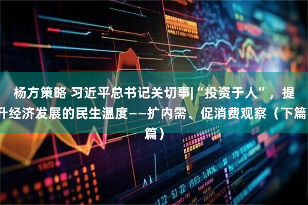 杨方策略 习近平总书记关切事|“投资于人”，提升经济发展的民生温度——扩内需、促消费观察（下篇）