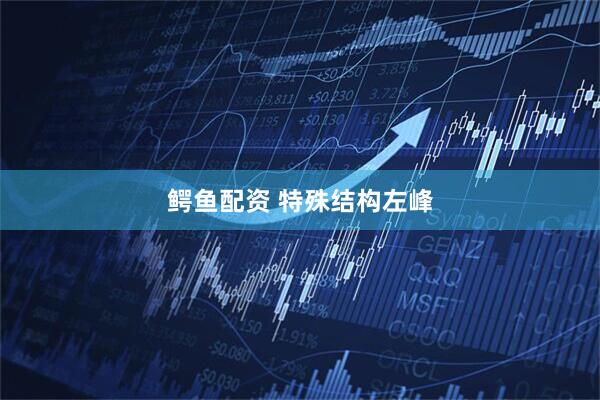 鳄鱼配资 特殊结构左峰
